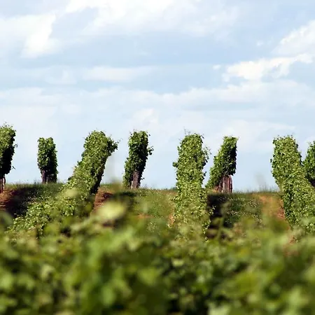 Aparthotel La Les Grands Vignobles 3*