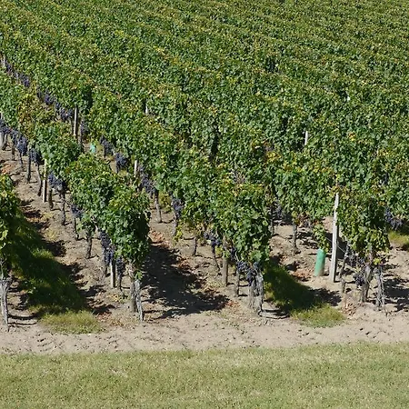 La Les Grands Vignobles 3*