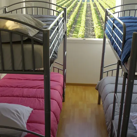 La Les Grands Vignobles