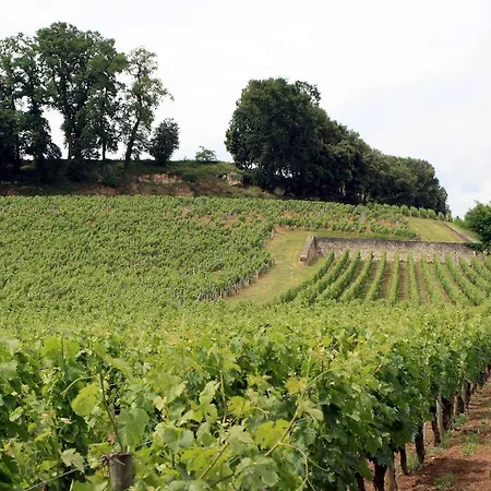 La Les Grands Vignobles 3* Libourne