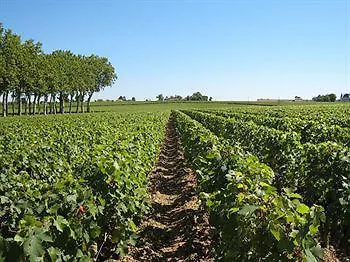 La Les Grands Vignobles 3* Libourne