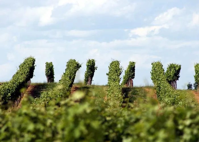 شقة فندقية La Les Grands Vignobles 3*