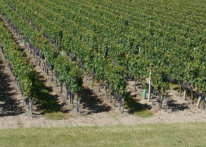 La Les Grands Vignobles 3*