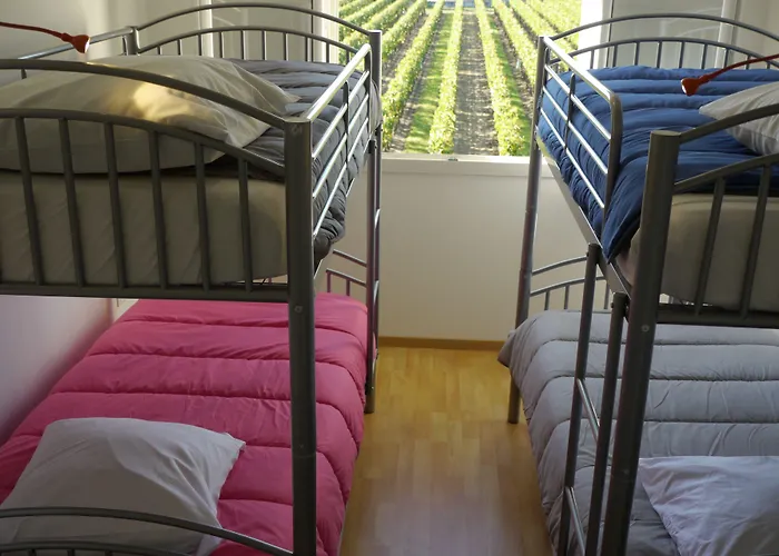 La Les Grands Vignobles